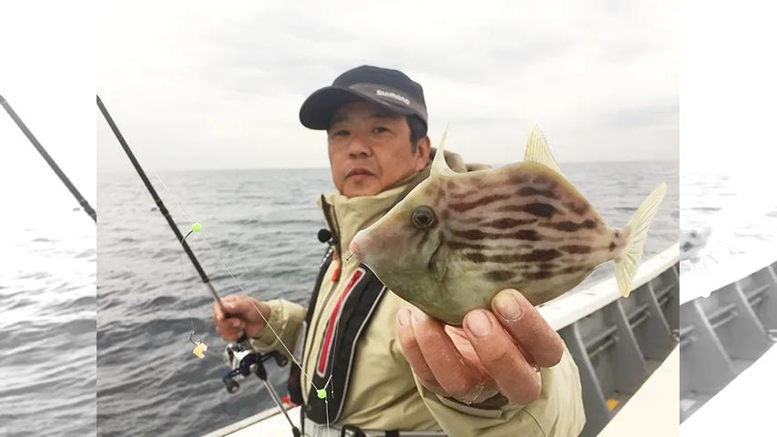 沖釣りギャラリー スナイパー釣法で攻略する晩秋のカワハギ