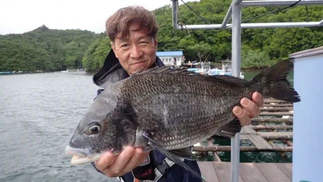チヌ道一直線 102 チャンスを逃すな！産卵直後の食い渋り期に大チヌを求める！