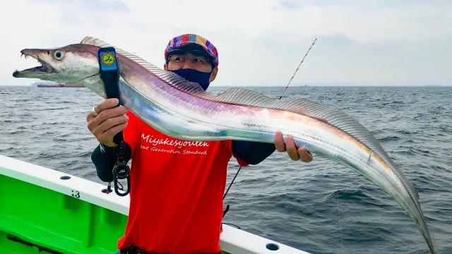 次世代のタチウオテンヤで狙う東京湾のドラゴンタチウオ