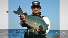 磯釣りギャラリー 大分県鶴見で魅せる　片伯部光広のアプローチ