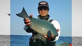 磯釣りギャラリー 大分県鶴見で魅せる 片伯部光広のアプローチ