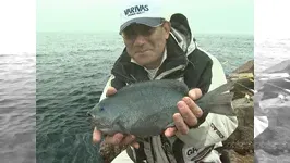本流のライセンス 鹿児島県　甑島で早春のクロを攻める