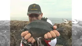 本流のライセンス 熊本県天草で季節の変わり目のクロを攻める