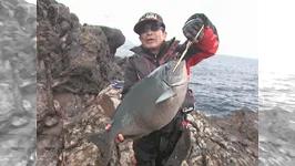 磯釣りギャラリー 磯釣り師の憧憬　鵜来島　巨大オナガ獲得の軌跡