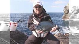 磯釣りギャラリー 柴原啓二　五島列島のクロを攻略