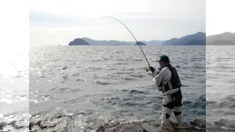 本流のライセンス 2010 大分県米水津で知恵比べ