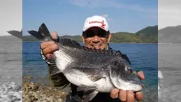 本流のライセンス 五島のビッグママ