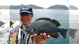 本流のライセンス 夏の大分県蒲江釣行