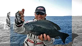 本流のライセンス 冬の静岡県伊豆釣行
