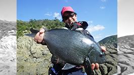 楽釣楽磯宣言 19 徳島県伊島エリア 木枯らし爆風秋グレ宣言 釣りビジョン