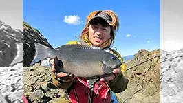磯を駆ける 第六十六章　静岡県伊豆の旅
