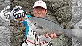 本流のライセンス 初夏の大分県米水津釣行