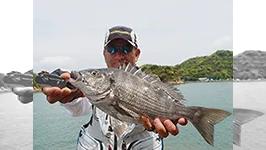 本流のライセンス 春の熊本県上天草釣行