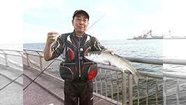 Oh エド釣り日記 川崎で噂の海釣り公園 釣りビジョン
