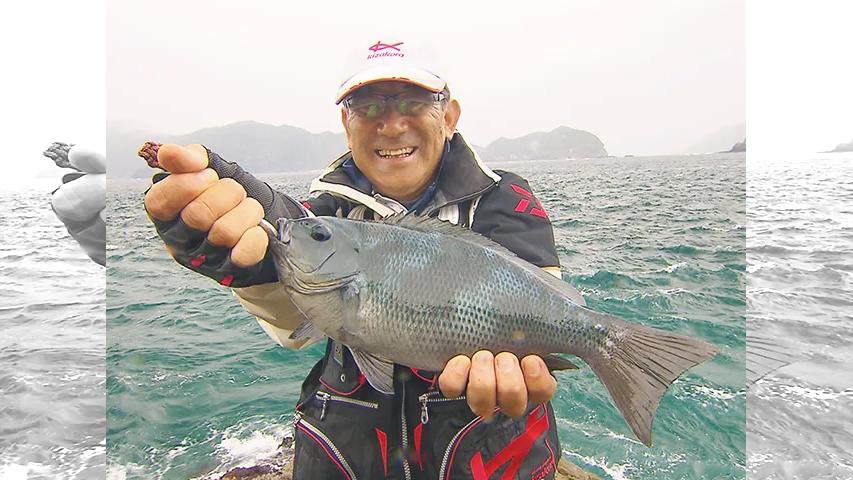 本流のライセンス 秋の大分県米水津釣行