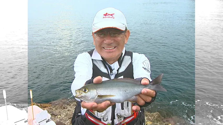 本流のライセンス 夏の島根県 出雲日御碕釣行