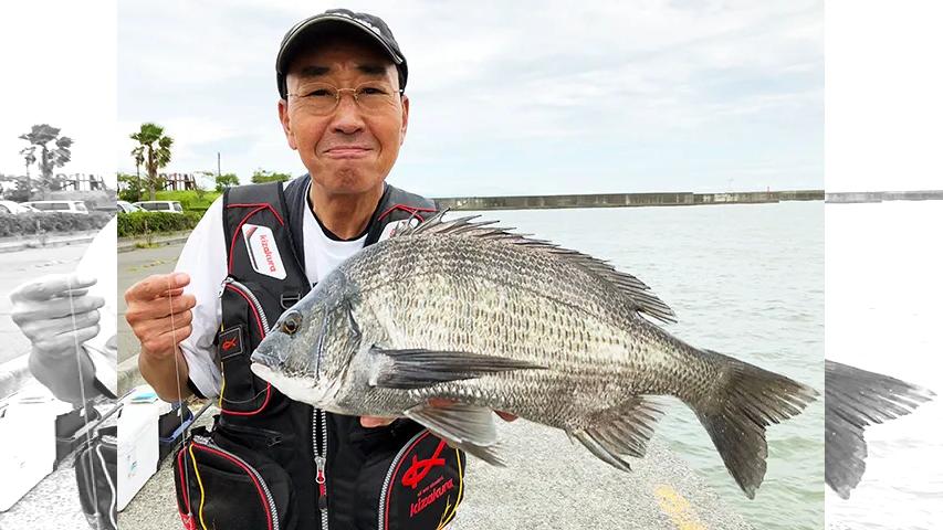 Oh エド釣り日記 焼津で楽しむ 堤防の秋 釣りビジョン