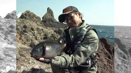 伊豆半島メジナ釣り日記 