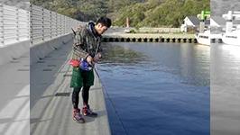 漁港 DE ブラブラ 4　兵庫県南あわじ市・沼島編