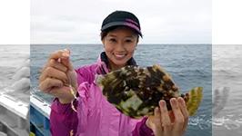 行け！ぎのっち 3　カワハギ釣りに行け！