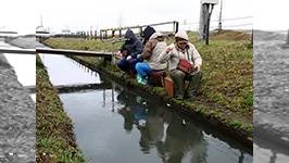 お手軽小物釣り ～淡水編～