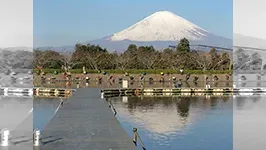 東山湖フィッシングエリアの怪物魚を追え！！ 