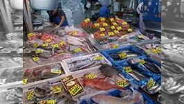 市場大調査隊 ～釣魚の価値を徹底調査！～ ～釣魚の価値を徹底調査！～