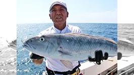 遠征大物釣りへ行こう！ 奄美大島で泳がせ釣り
