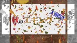 秋のエギング大爆釣！ 