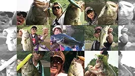 トップウォーターの真実 