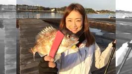 南紀白浜へつれもていこら 「釣り＆観光ガイド！ファミリーでGO！！」