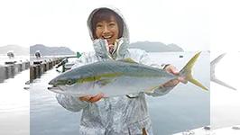 今夜もほろ酔い 冬の寒ブリで今夜もほろ酔い
