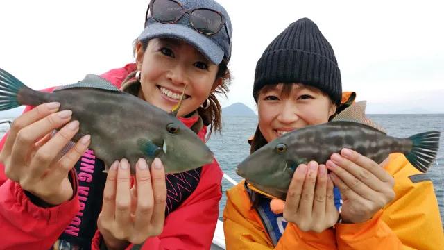釣りたガール 11 広島でメバル ウマヅラハギ釣り 釣りビジョン