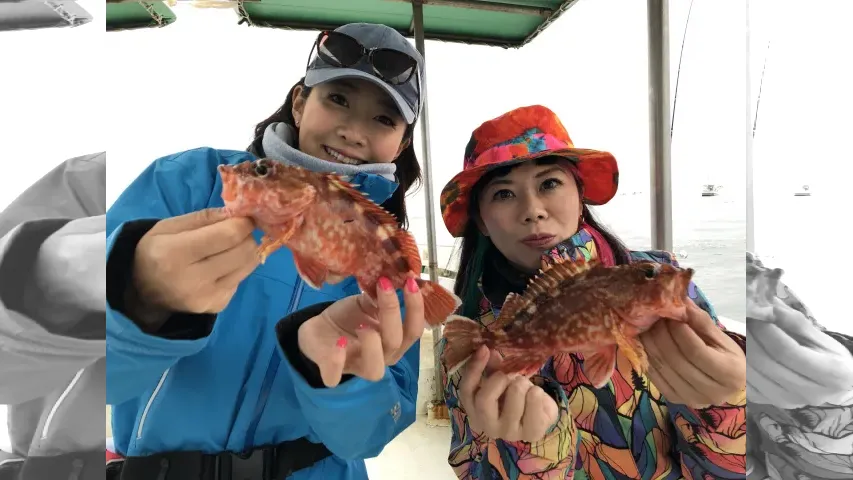 釣りたガール！ 30 早起きはやっぱりおトク！色々釣れちゃう和歌山県加太の早朝五目