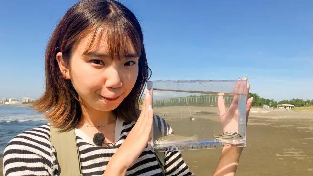 釣って関東 1 ルアーロッドで釣りをしてみよう 釣りビジョン