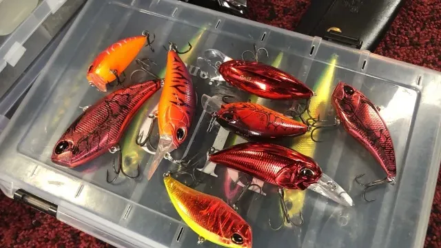 帰ってきた5L ton 5 『春は赤が釣れる』の都市伝説を解明せよ！前編