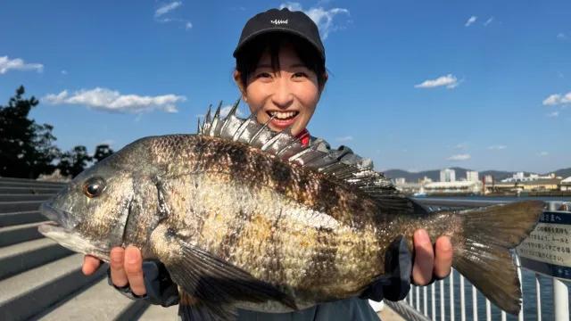 1 広島県で春到来？海釣り公園で波止五目