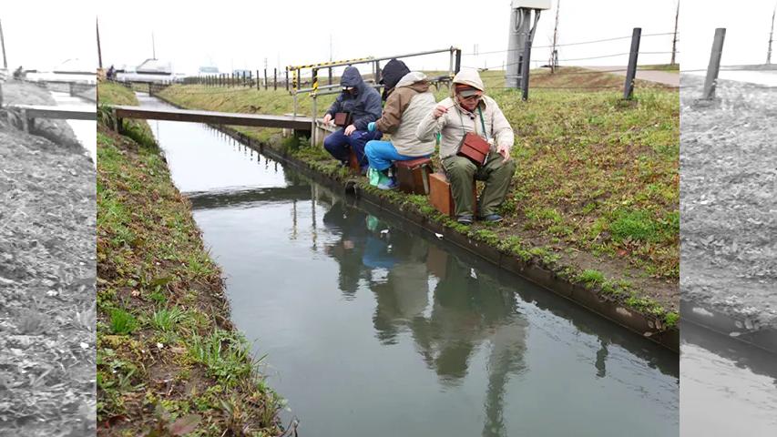 ミクロ釣行 手賀沼周辺に春を探す 釣りビジョン