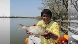 ヘラブナ漫遊記 其の五十一　房総の野釣り