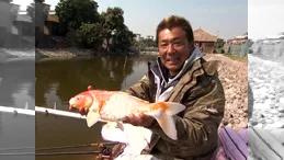 ヘラブナ漫遊記 其の五十四　初上陸！中国ヘラブナ事情1