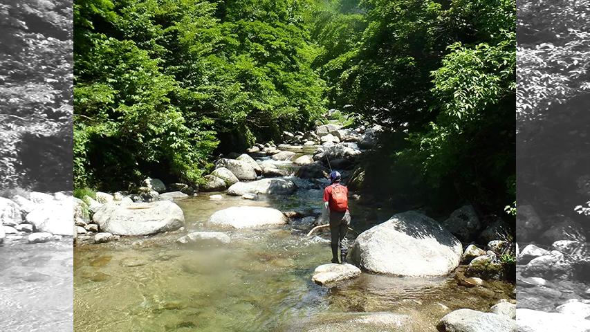 渓流ギャラリー 新潟県七滝沢の源流