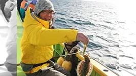 旬の釣り 冬の東京湾スミイカ釣り 釣りビジョン