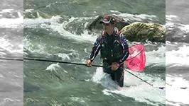 鮎2013 最強トーナメンターが魅せる人気河川攻略