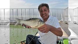 ヘラブナ漫遊記 其の六十一　夏のヒゲトロ