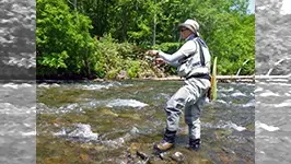 トラウトギャラリー 北の大地の蝦夷岩魚