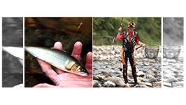 鮎2014 YujiStyle　兵庫県日本海側の隠れ河川