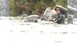 鮎2016 中国地方の大河川・江の川で大鮎と遊ぶ