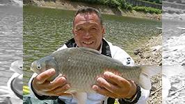 ヘラブナギャラリー 初夏の野釣り 室生ダムに魅せられて 釣りビジョン