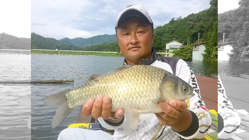 ヘラブナギャラリー 円良田湖 晩夏の両ダンゴ