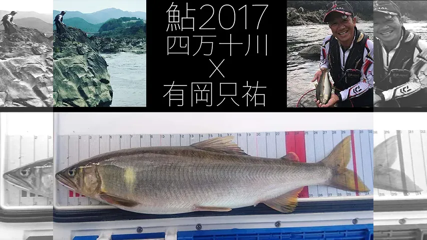 鮎2017 大鮎四万十川スタイル